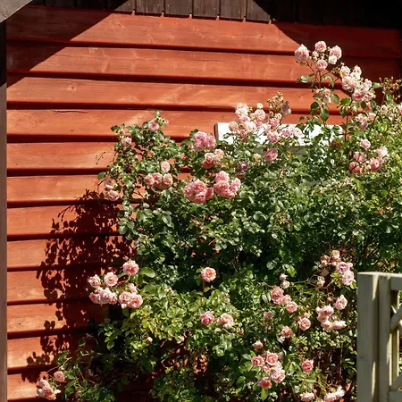 Amber House With A Garden And Terrace In By Renters بيت للعطل